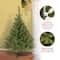 4 ft. Unlit Kincaid Spruce Artificial Christmas Tree